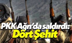 PKK Ağrı’da saldırdı: Dört Şehit