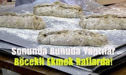 Finlandiya'da böcekli ekmek satışa sunuldu!