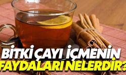 Bitki Çayı İçmenin Faydaları Nelerdir?