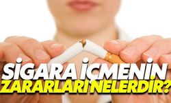 Sigara İçmenin Zararları Nelerdir?