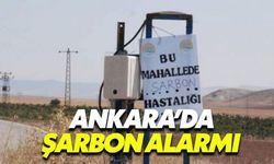 Ankara'da verilen şarbon alarmı endişe yarattı