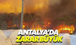 Antalya'daki orman yangınında hasar büyük