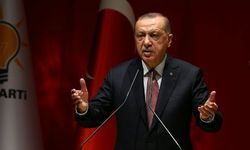 Erdoğan makalesinde, Suud hükümetini işaret etti