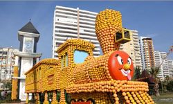 Portakal ve limon kokulu şehir narenciye festivali için gün sayıyor