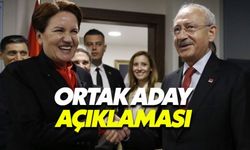Akşener: Ankara'da ortak aday çıkarabiliriz