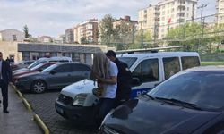 Gözaltına alınan sapık serbest bırakıldı