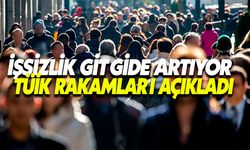İşsizlik Gitgide Artıyor !