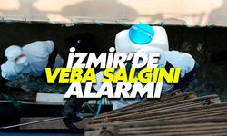 İzmir'de Veba Salgını Alarmı!