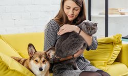 Evcil Hayvanların Terapötik Gücü, Depresyon ve Anksiyete İle Başa Çıkma