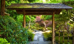 Huzur, Japon Bahçelerinin Zen Estetiği