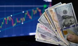 Serbest piyasada döviz haftaya yükselişle başladı