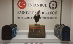 Beykoz’da horoz dövüşüne 194 bin lira ceza