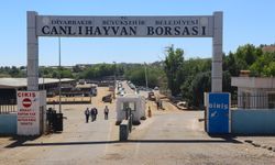 Diyarbakır’da sahte paraya karşı broşürlü uyarı