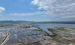 Edirne’de çeltik sezonu tamamlanmak üzere