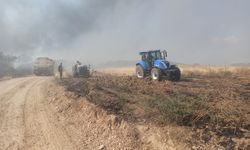Yenişehir’de anız yangını ormana yayıldı