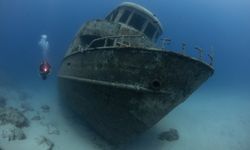 Kaş su altı zenginlikleriyle dalış turizminde parlıyor