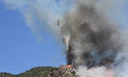 Bodrum’da orman yangınına havadan ve karadan müdahale