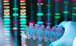 Dna veri depolama, geleceğin bilgi saklama yöntemi