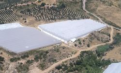 Antalya Aksu’da makilik alanda yangın paniği