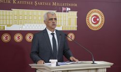 Gergerlioğlu’ndan silah bırakma ve reform çağrısı