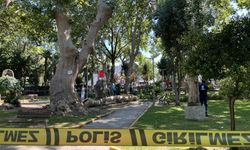 Gölcük’te ağaçtan kopan dal üç kişinin üzerine düştü