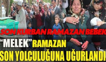 Son kurban 15 aylık Ramazan Bebek!