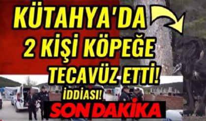2 Kişi Köpeğe Tecavüz Etti! (İşte O İğrenç Haber)