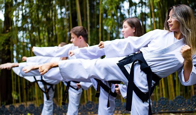 Taekwondo, Kökeni, Evrimi ve Günümüzdeki Durumu