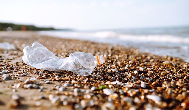 Mikroplastik Kirliliği ve İnsan Sağlığı Üzerindeki Etkiler