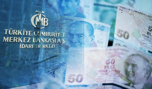 Türkiye’de Yeni Banknot Tartışmaları