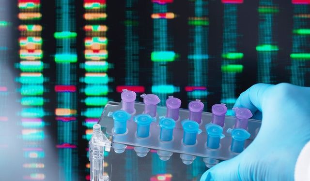 Dna veri depolama, geleceğin bilgi saklama yöntemi