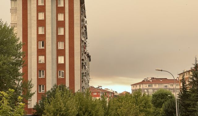 Sakarya yangını Eskişehir’de kül ve duman etkisi yaptı