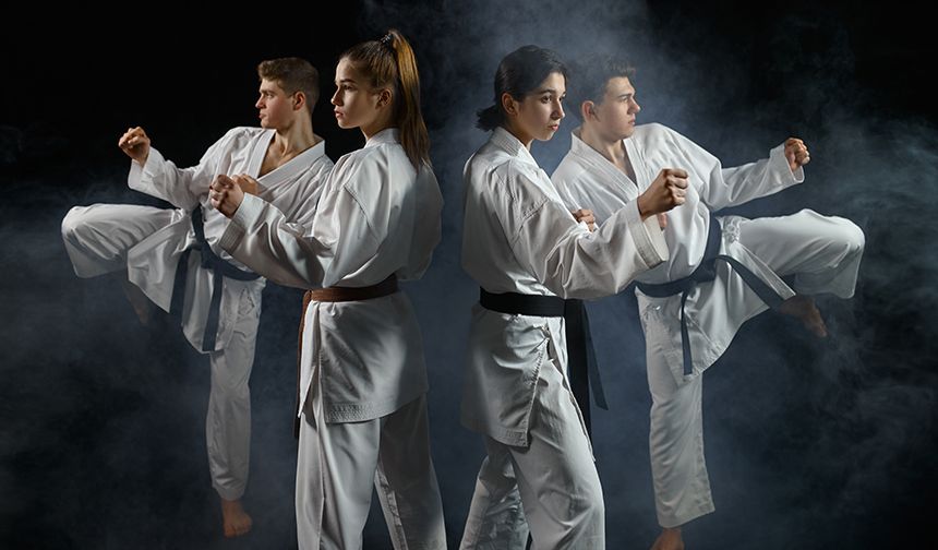 Taekwondo Kökenleri, Tarihi ve Bugünkü Durumu