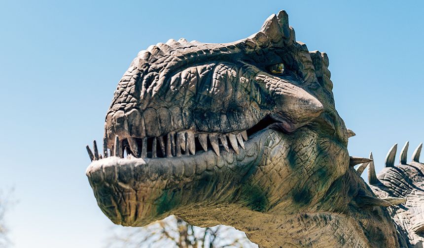 Yeni Bir Dinozor Türü Gün Yüzüne Çıkarıldı